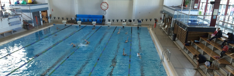 Freyberg Pool in Wellington, where I am attempting to become a local