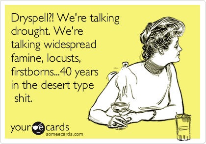 1281139535889_9723689