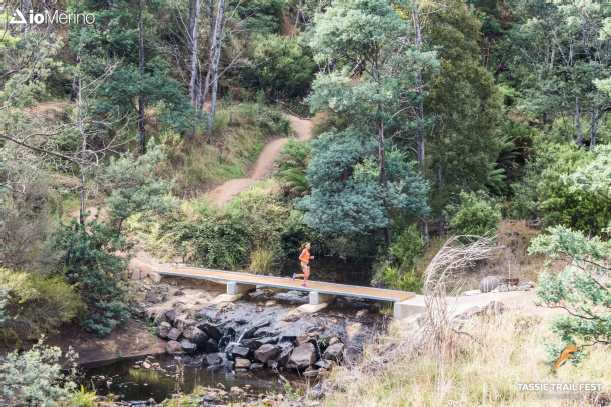 Tas-14.5-Morning-IMG_1293-1