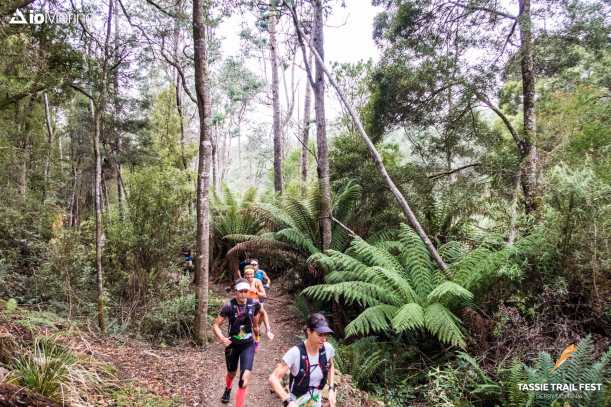 Tas-14.5-Morning-IMG_1031-1