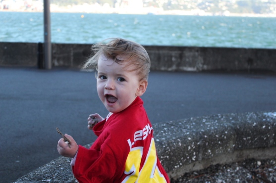 UNADJUSTEDNONRAW_thumb_317a