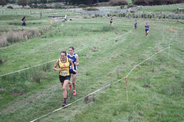 58698667_10157261354748464_5670465615182168064_o